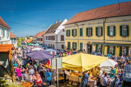 Spomladanska kvatrnica (foto: Maksimiljan Krautič)