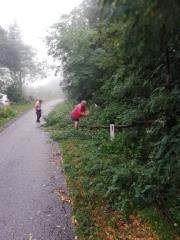 IMG_20190728_172228_resized_20190729_105845973