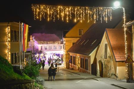 visit_trojica_zive_jaslice_2023_12_26_MAR5171_pigac_si